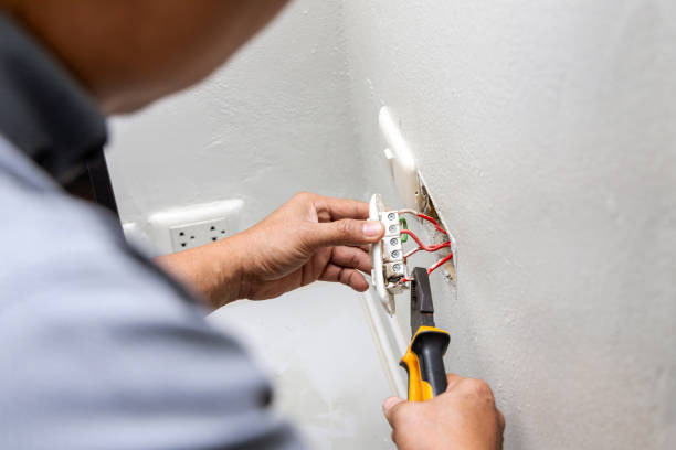 Best Electric Panel Repair  in Cold Spring, KY